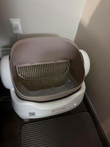 Jeston review photo