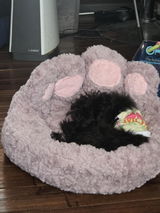 Freja review photo
