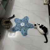 bean_the_cat review photo