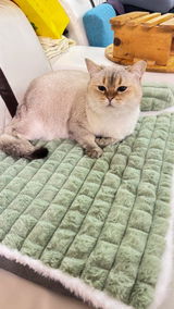 Maisie Turner review photo