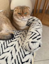 MaddyB review photo