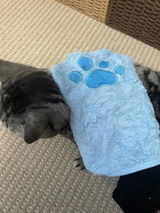 BenjiBear_ review photo