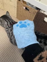 BenjiBear_ review photo