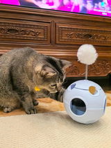 CozyCatMom review photo
