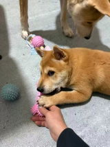 benji☆ review photo