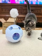 CozyCatMom review photo