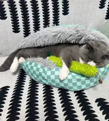 Biscuit’s Human review photo