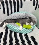 Biscuit’s Human review photo