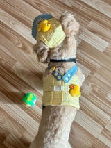 Harper Winslow review photo