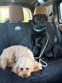 Pawmanity Bench Seat Cover