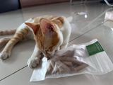NGAI review photo