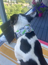 Etsy customer review photo