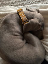 Etsy customer review photo