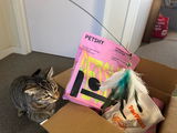Jaz and Lynx review photo