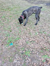 Renita review photo