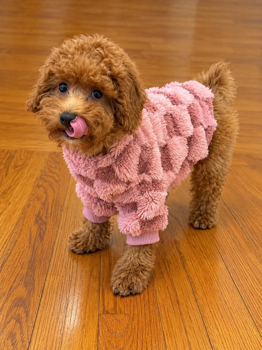 PAWPPIESPLUG