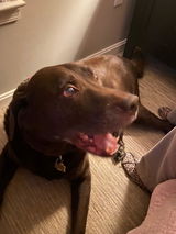 Max’s mom review photo
