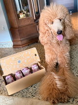 Genie & Ellie Bellie 🐾 review photo