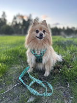Tropical Piña Colada Adjustable Harness