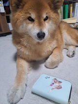 ぴの review photo