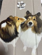 みち review photo
