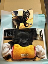 O.N review photo