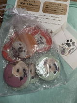 犬塚裕乃 review photo