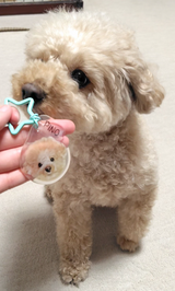 しゃけ review photo