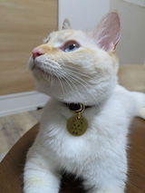 下々の者 review photo