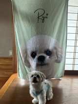 しば review photo