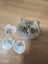 こぶぅ review photo