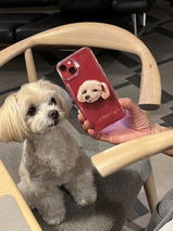 もなもな review photo