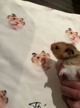 🐹 review photo
