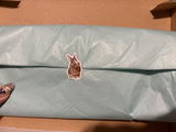 コロの家族 review photo