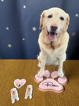 あおきち review photo