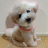 るぅ review photo