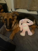 Meg review photo