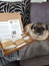 Miss Nicola Jane review photo