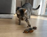 Customer review photo 1
