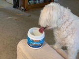 Sandra Z. review photo