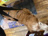 Katerina Novak review photo