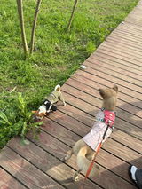 Chloe_P review photo