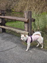 Yuki_W review photo
