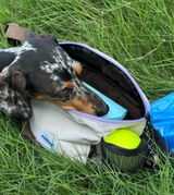 Dog Mom Kate review photo