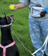 Dog Mom Kate review photo
