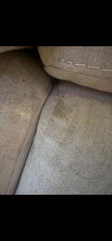 Lee review photo