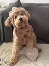 Hugo’s human review photo