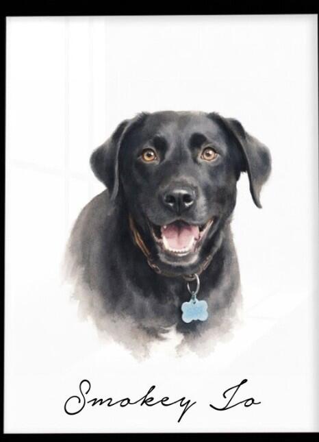Pawsionate
