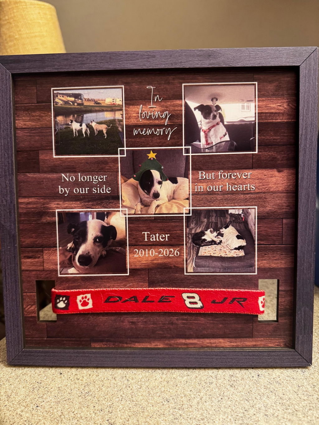 No Longer By Our Side - Personalized Collar Frame