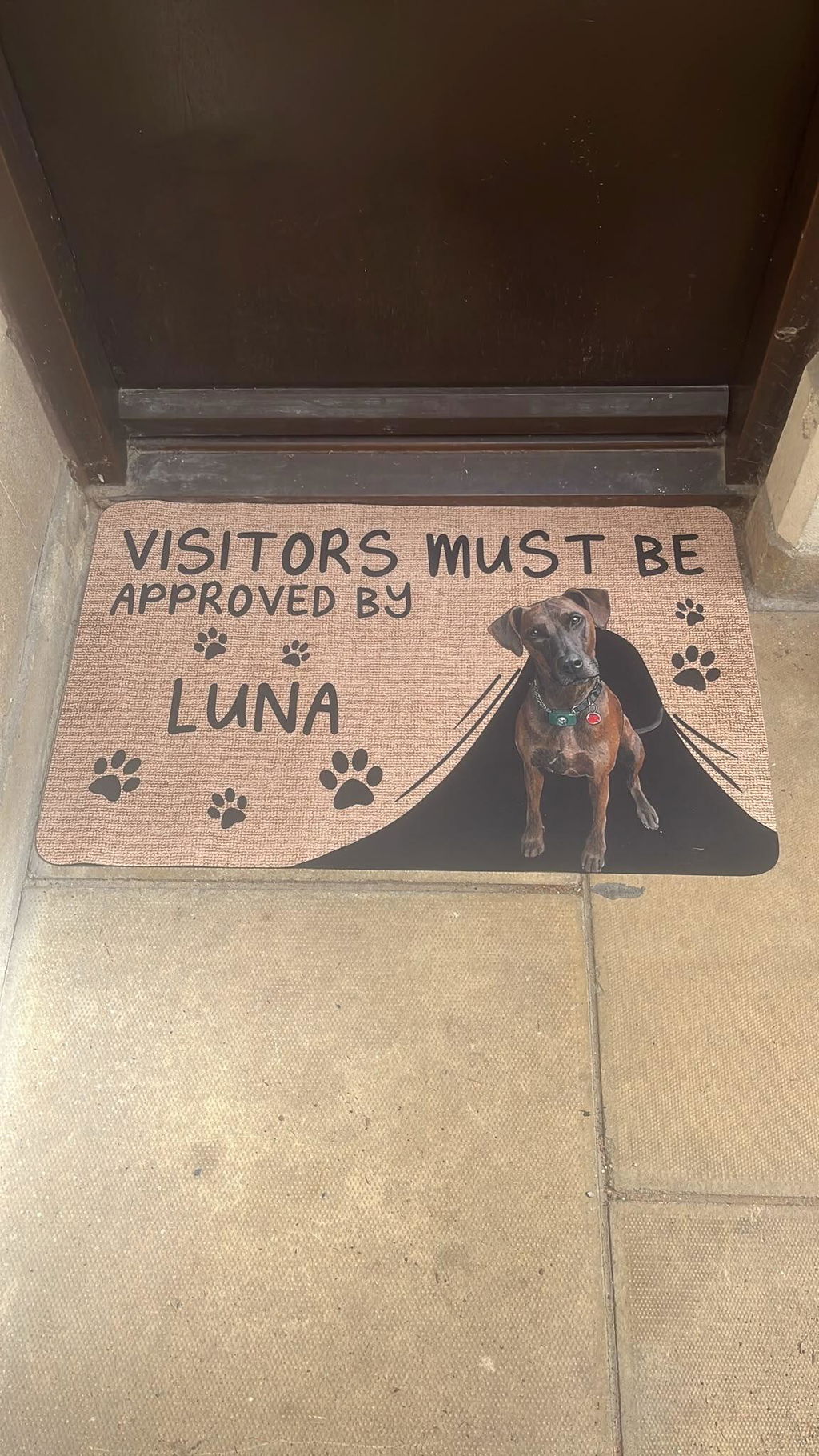 Approved By Dog Watercolor - Personalized Doormat